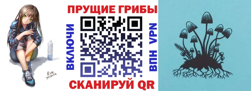 omg зеркало  Сунжа  Псилоцибиновые грибы Magic Shrooms  купить наркотики сайты 